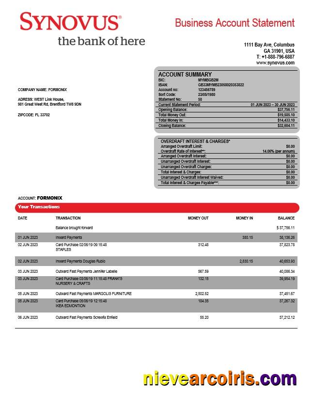 Professional Synovus Bank Enterprise Statement Word And PDF Template