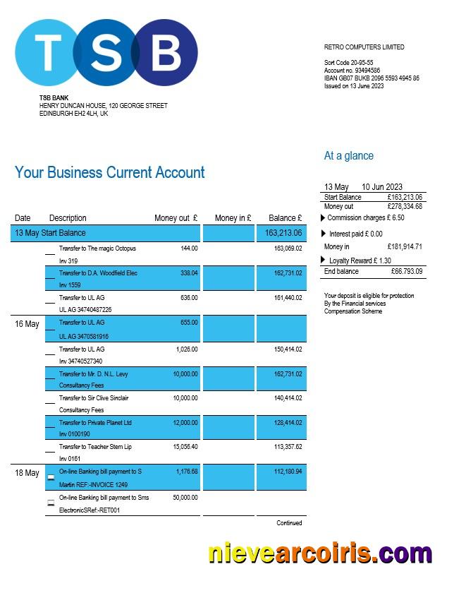 Premium TSB Bank Firm Account Statement Word And PDF Template
