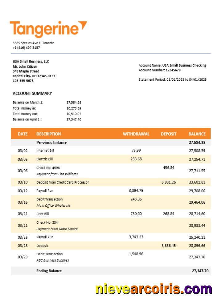 Tangerine Business Bank Statement Word And PDF Format Preview