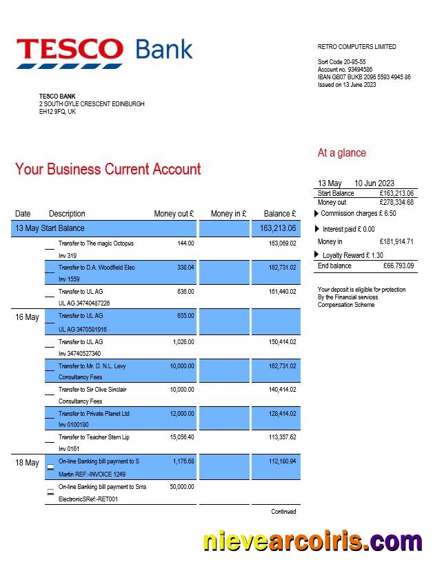 Premium Tesco Bank Business Statement Word And PDF Template
