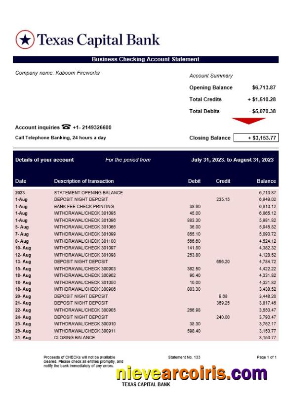 Professional Texas Capital Bank Company Account Statement Word And PDF Template