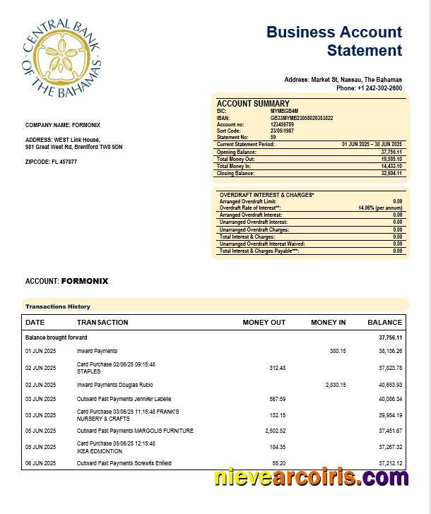 Realistic The Central Bank Of Bahamian Enterprise Account Statement Word And PDF Template