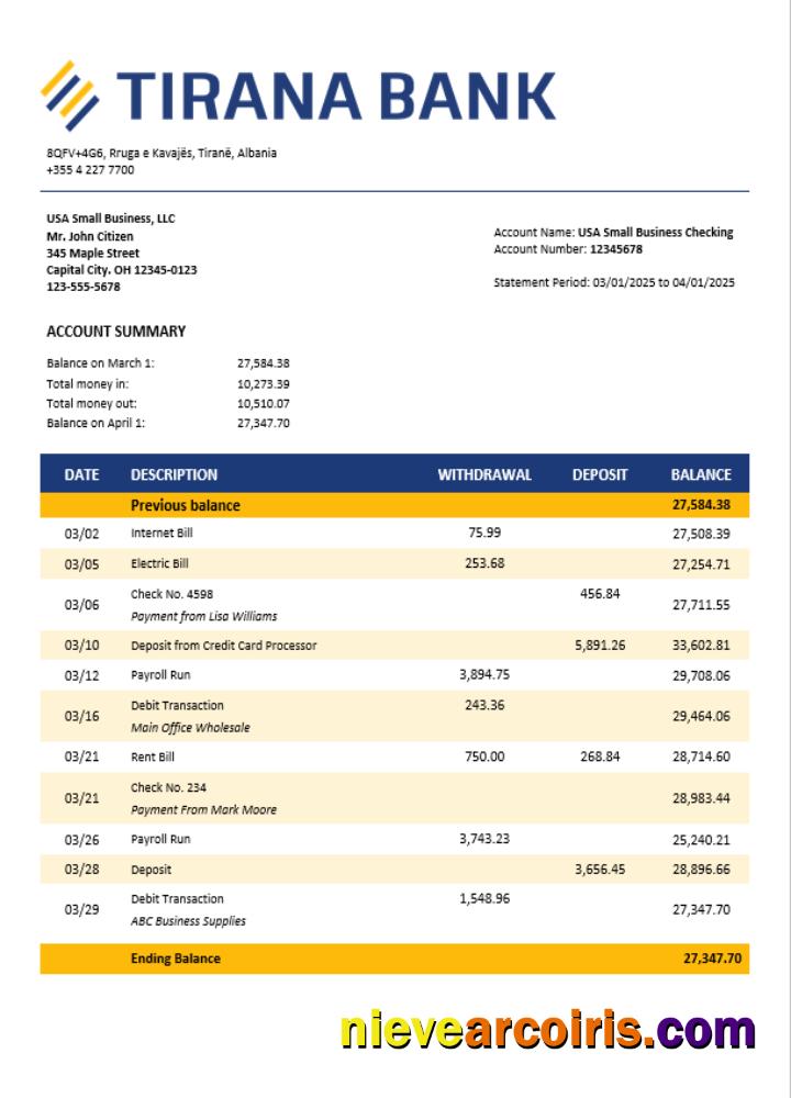 Premium Tirana Firm Account Statement Word And PDF Template