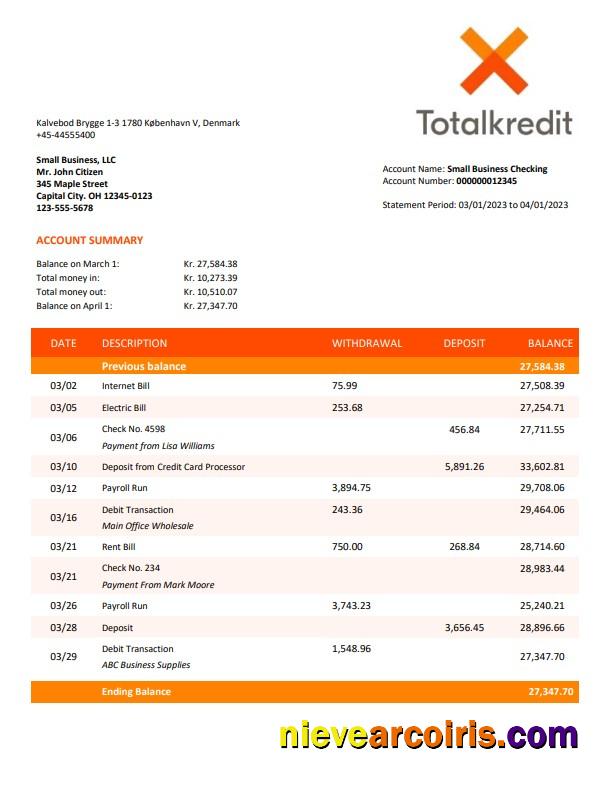 Totalkredit Bank Organization Account Statement Word And PDF Photolook