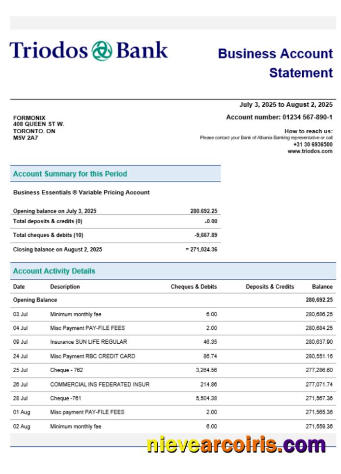 Triodos Bank Business Firm Account Statement Word Snd PDF Format Template