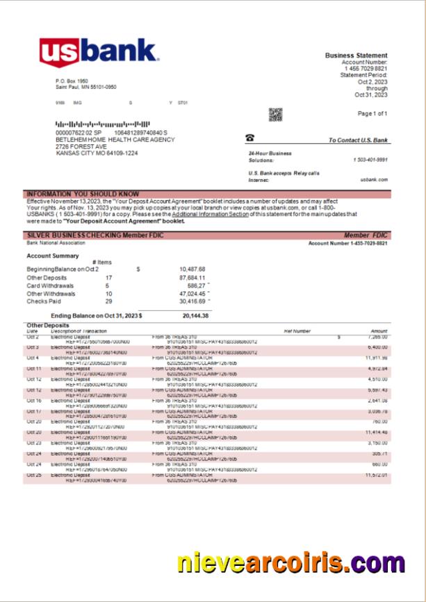 Professional U.S. Bank Organization Account Statement Word And PDF Template