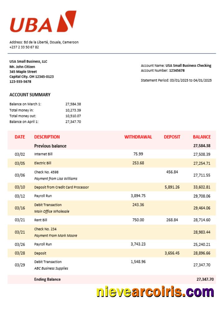 UBA Company Statement Word And PDF Format Template