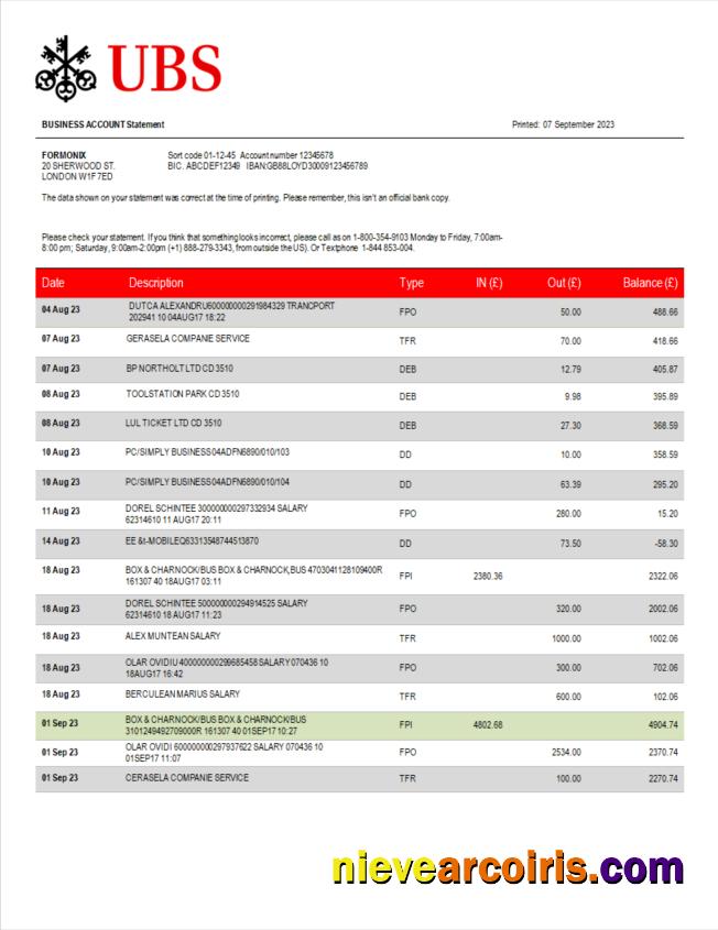 Professional UBS Bank Corporate Checking Account Statement Word And PDF Template