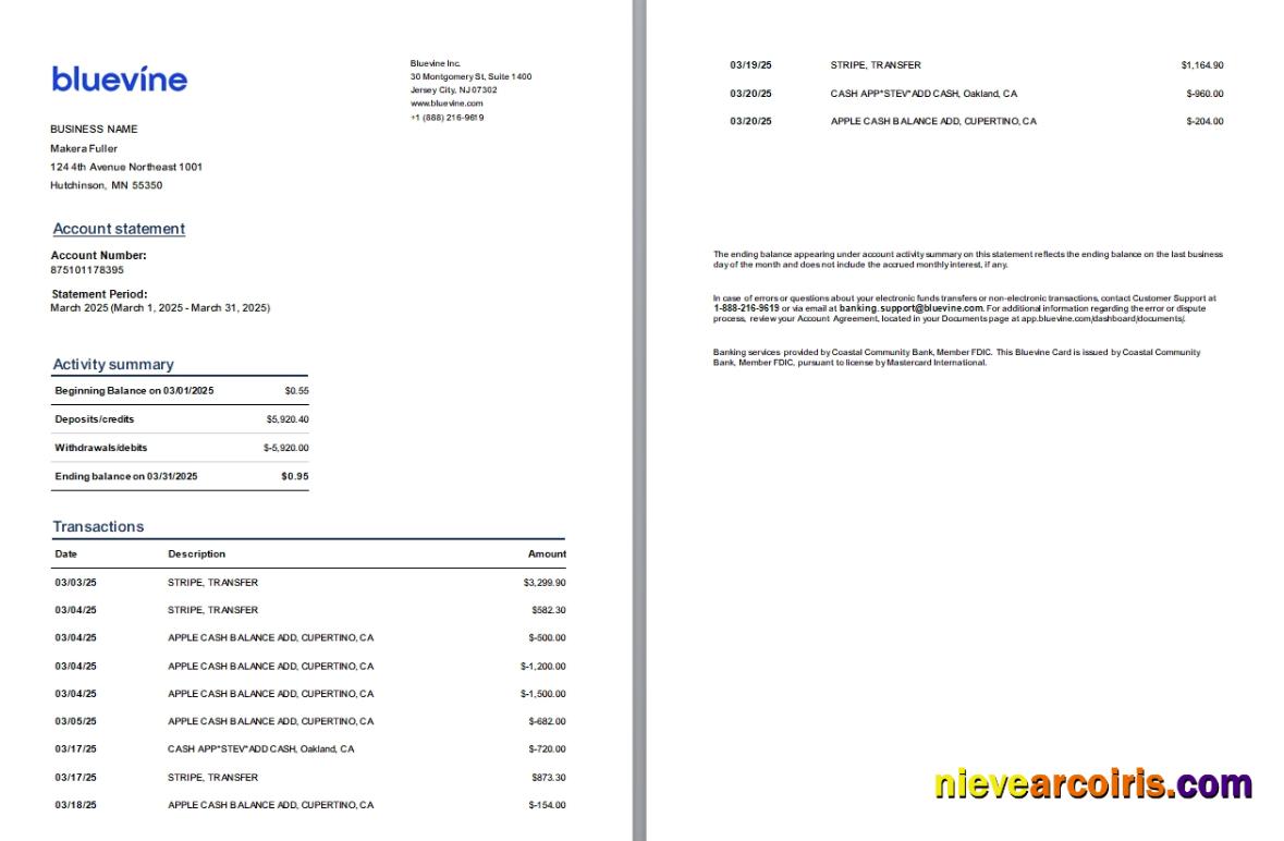 USA New Jersey Bluevine Bank St, 3 Pages, 1 2p Template