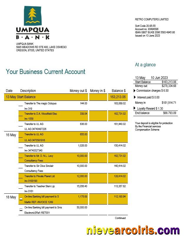 Professional Umpqua Bank Organization Checking Account Statement Word And PDF Template