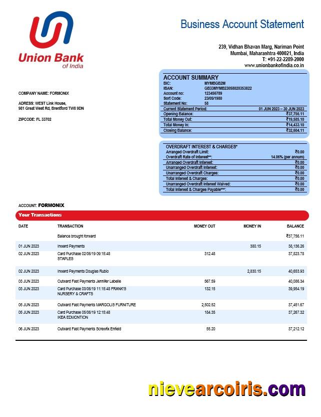 Realistic Union Bank Of India Business Statement Word And PDF Template