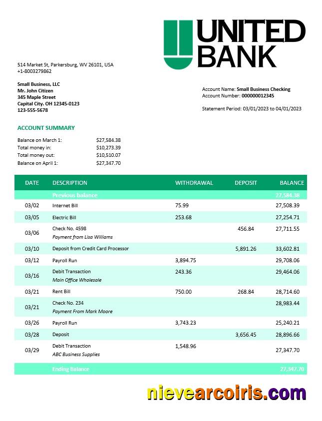 Professional United Bank Enterprise Account Statement Word And PDF Template