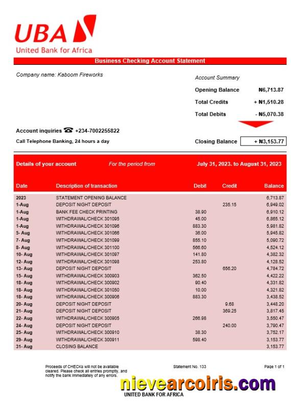 Premium United Bank For Africa Organization Account Statement Word And PDF Template