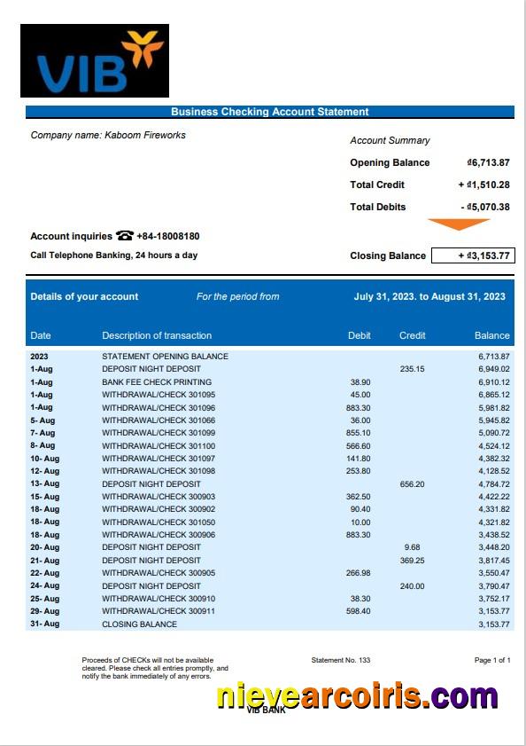 Editable VIB Bank Business Checking Account Statement Word And PDF Template