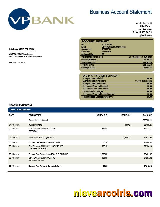 Professional VP Bank Firm Account Statement Word And PDF Template