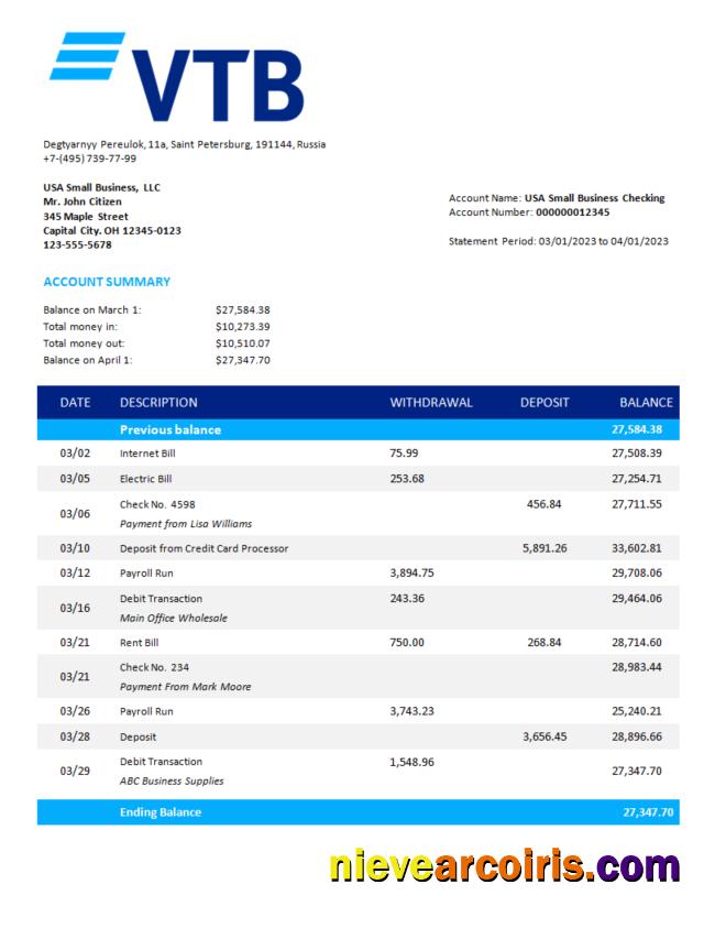 Premium VTB Bank Firm Account Statement Word And PDF Template