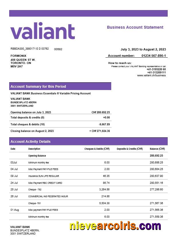 Editable Valiant Bank Enterprise Account Statement Word And PDF Template