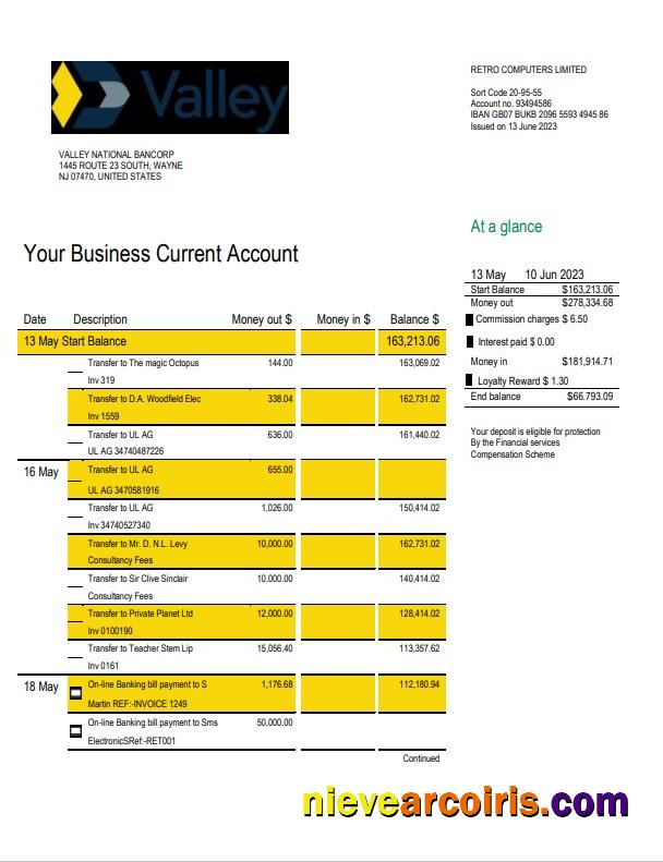 Premium Valley National Bank Business Statement Word And PDF Template