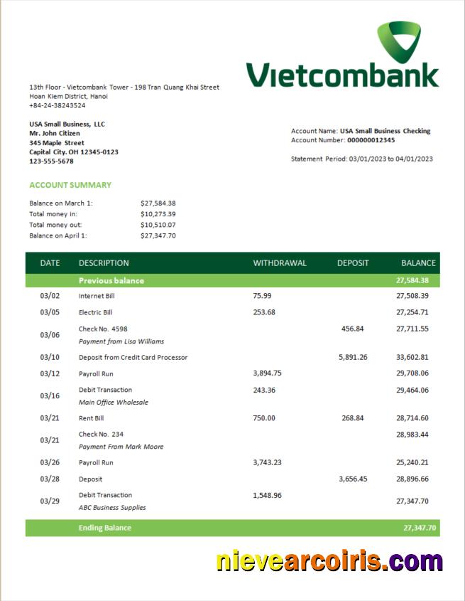 Realistic Vietcombank Business Statement Word And PDF Template