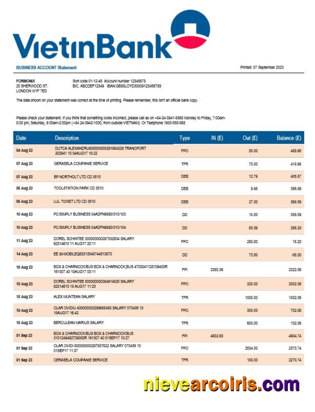 Premium Vietin Bank Firm Account Statement Word And PDF Template