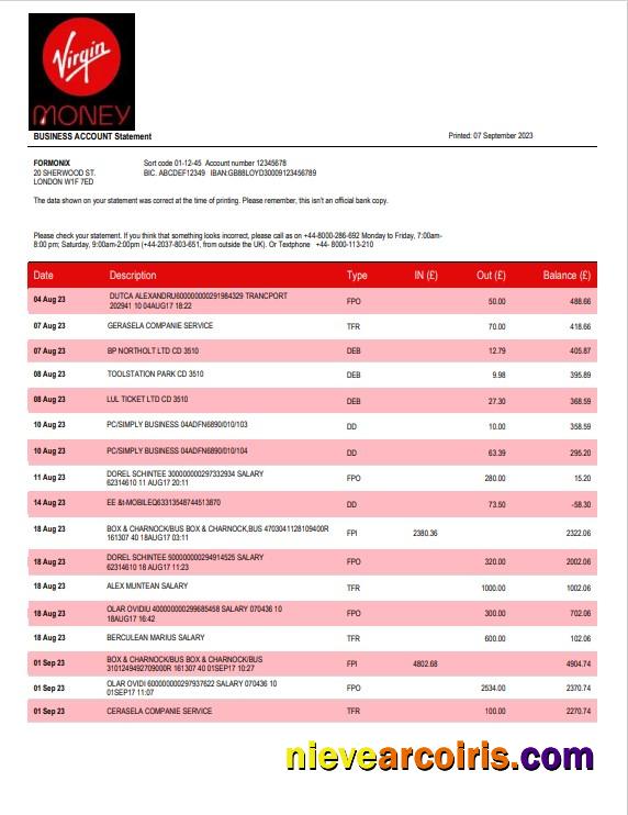 Premium Virgin Money Bank Firm Account Statement Word And PDF Template