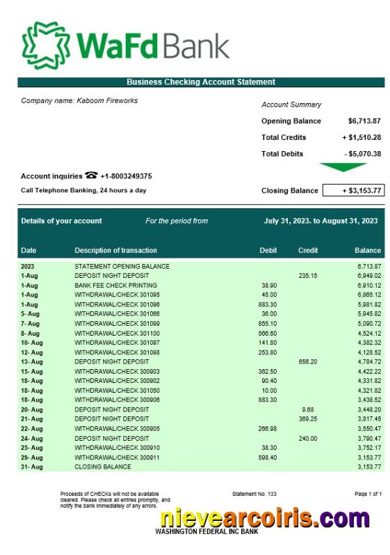 Professional Washington Federal Inc Bank Business Checking Account Statement Word And PDF Template