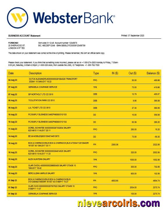 Premium Webster Bank Business Statement Word And PDF Template
