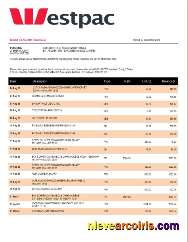 Professional Westpac Bank Organization Statement Word And PDF Template