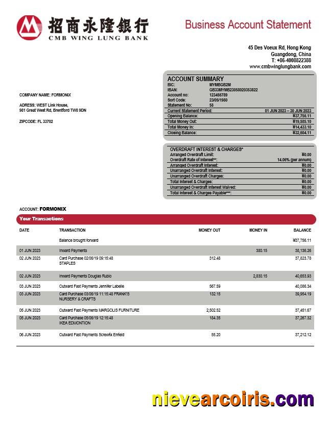 Professional Wing Lung Bank Company Account Statement Word And PDF Template