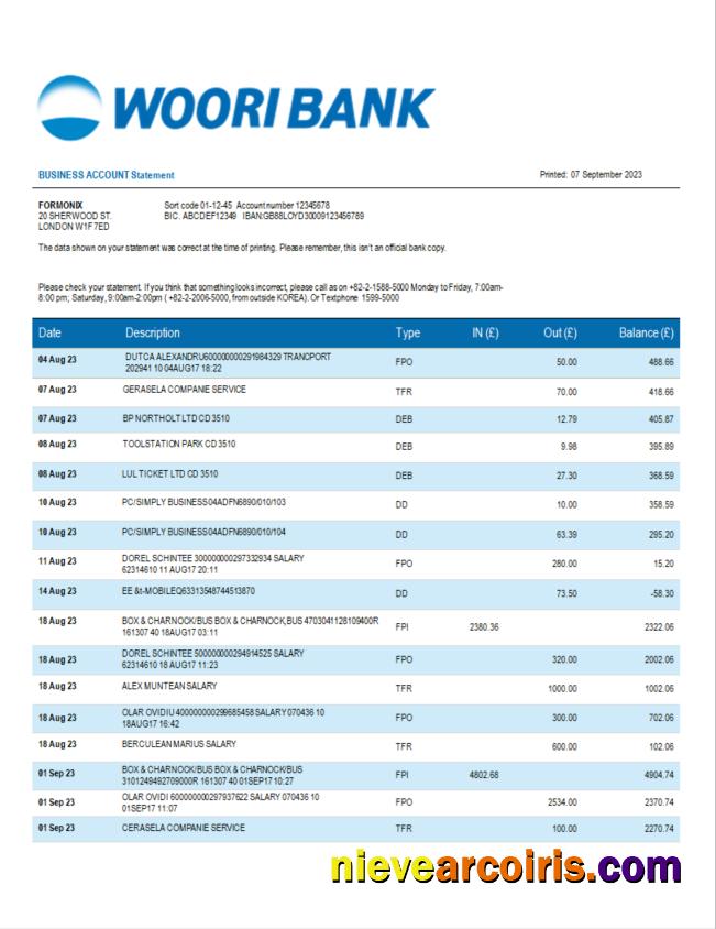 Premium Woori Bank Business Statement Word And PDF Template