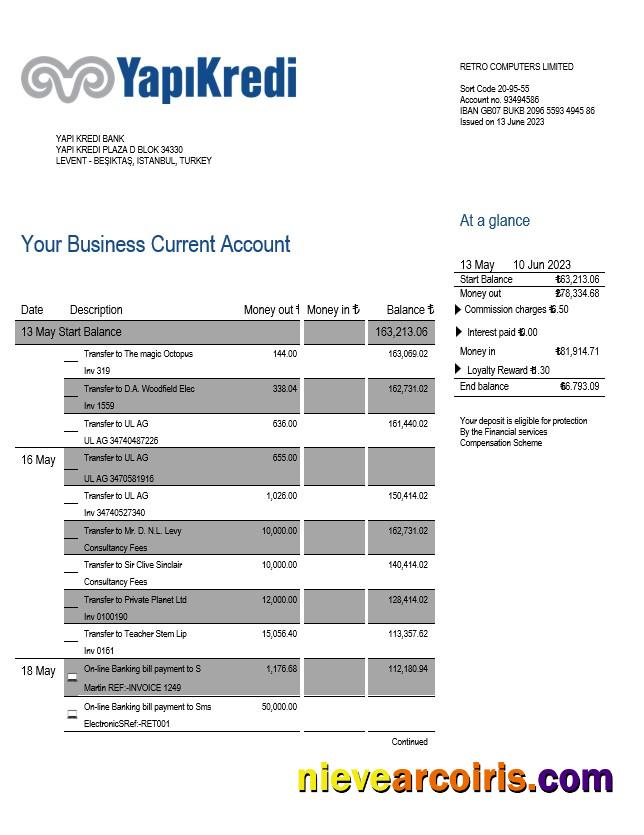 Professional Yapi Kredi Bank Organization Account Statement Word And PDF Template