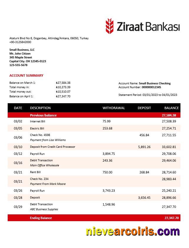 Premium Ziraat Bankasi Business Checking Account Statement Word And PDF Template