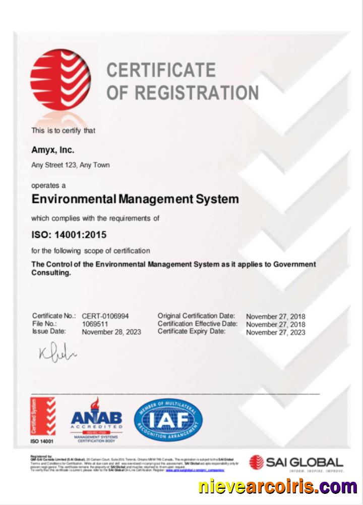 Premium Australia SAI GLOBAL Certificate Of Business Registration Word And PDF Template