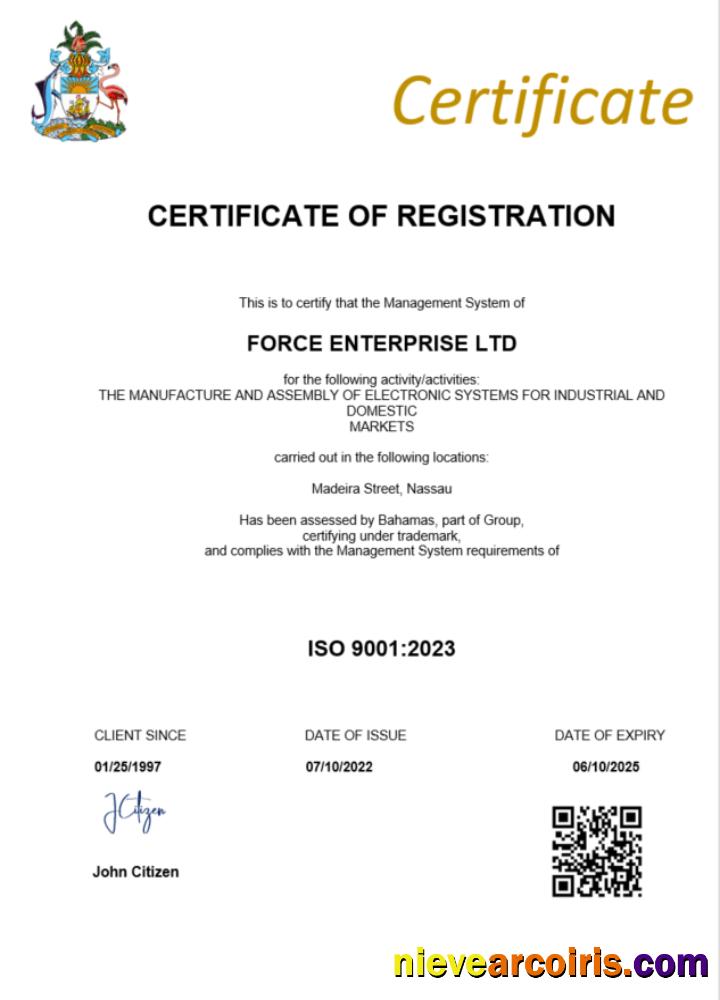 Realistic Bahamas Certificate Of Registration Word And PDF Template