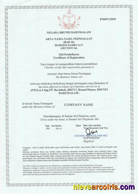Brunei Business License Template