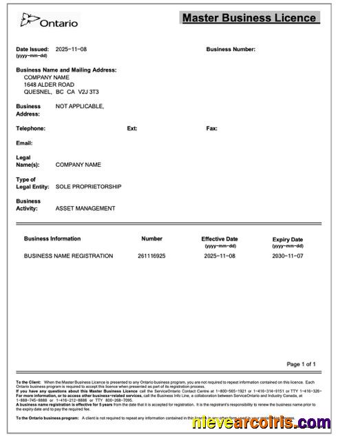Realistic Canada Ontario Master Business Licence Word And PDF Template