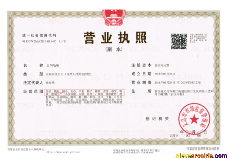 China Business License Sample