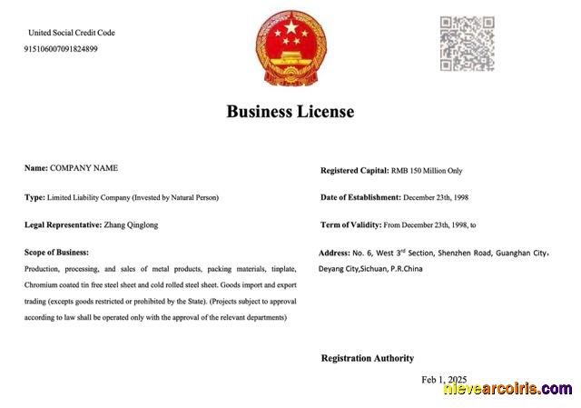 Professional China Business License Word And PDF Template