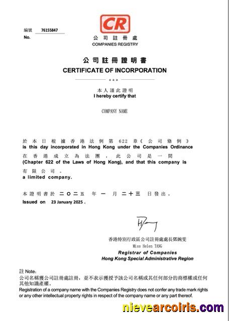 Premium China Certificate Of Incorporation Word And PDF Template