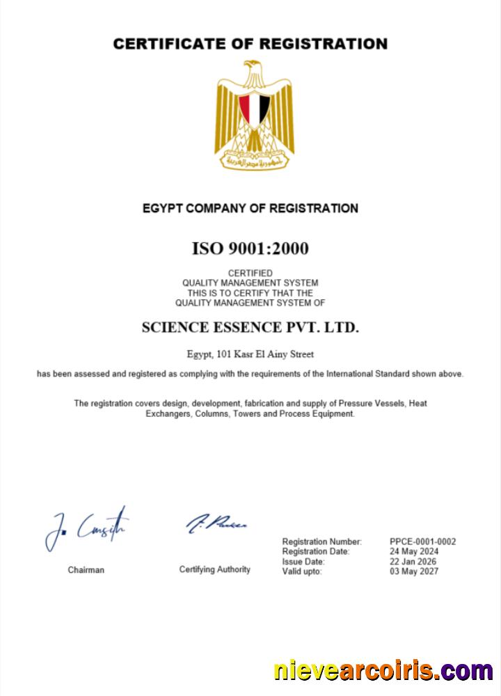 Realistic Egypt Certificate Of Registration Word And PDF Template