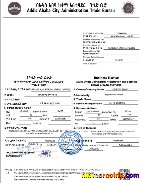 Premium Ethiopia Addis Ababa Business License Word And PDF Template, Version 2