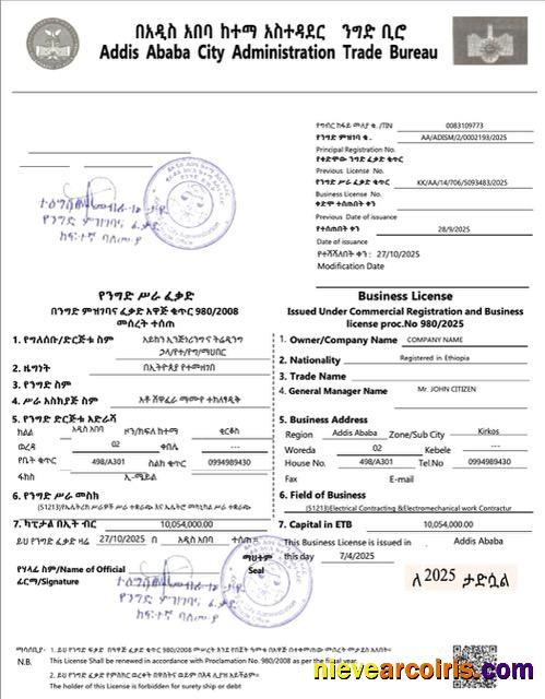Editable Ethiopia Addis Ababa Business License Word And PDF Template