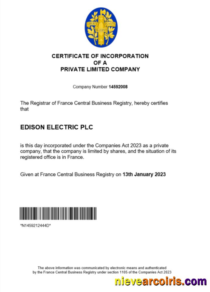 Realistic France Certificate Of Registration Word And PDF Template