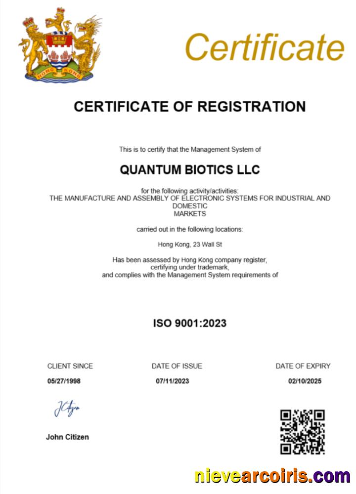 Professional Hong Kong Certificate Of Registration Word And PDF Template