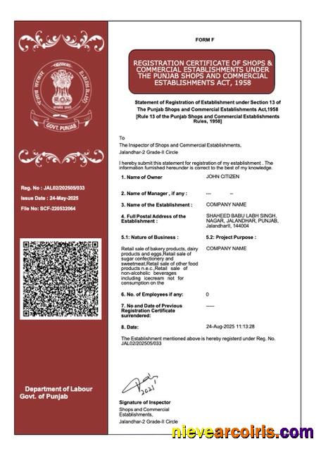 Editable India Punjab Registration Certificate Word And PDF Template