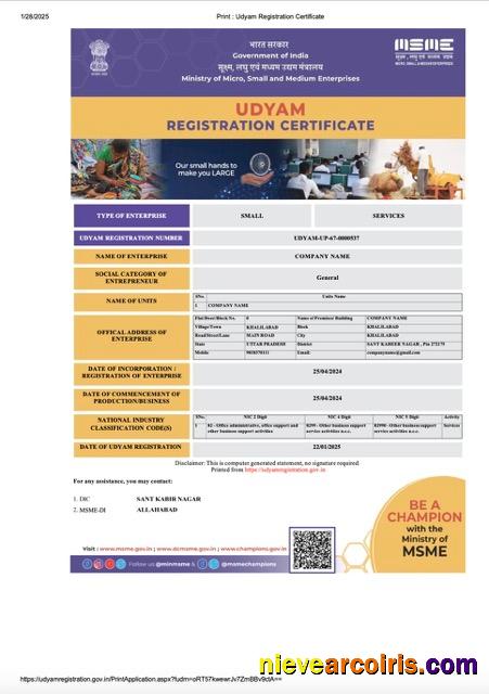 Professional India Udyam Registration Certificate Word And PDF Template, Version 5