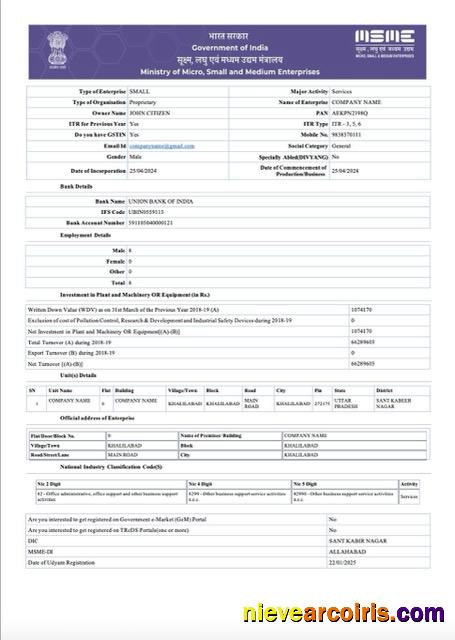 Professional India Udyam Registration Certificate Word And PDF Template, Version 6