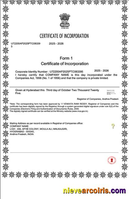 Professional India Certificate Of Incorporation Word And PDF Template, Version 2