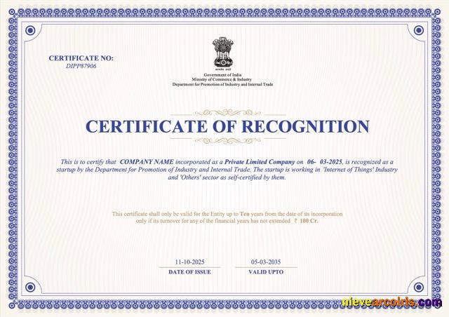 Professional India Certificate Of Recognition Word And PDF Template