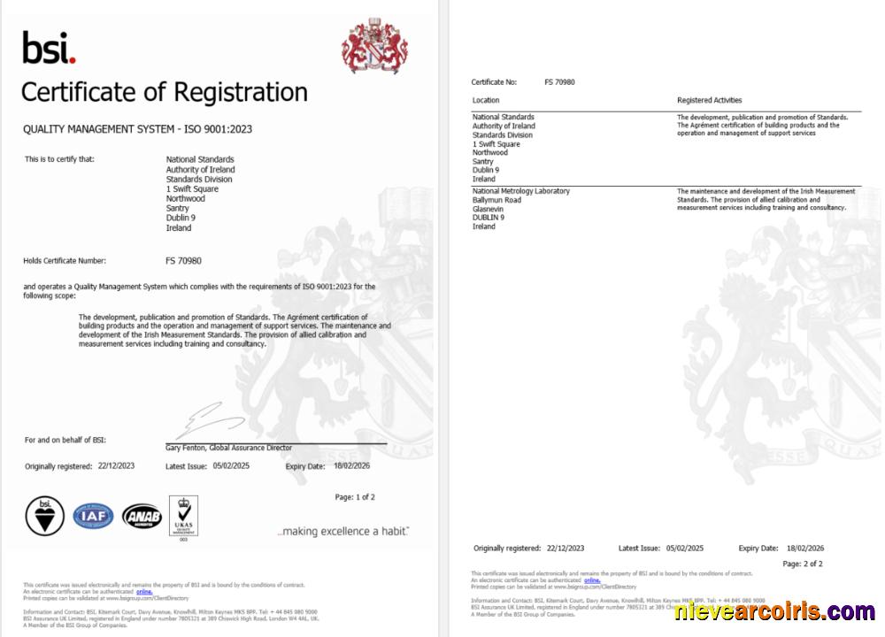 Realistic Ireland Dublin BSI Certificate Of Registration Word And PDF Template